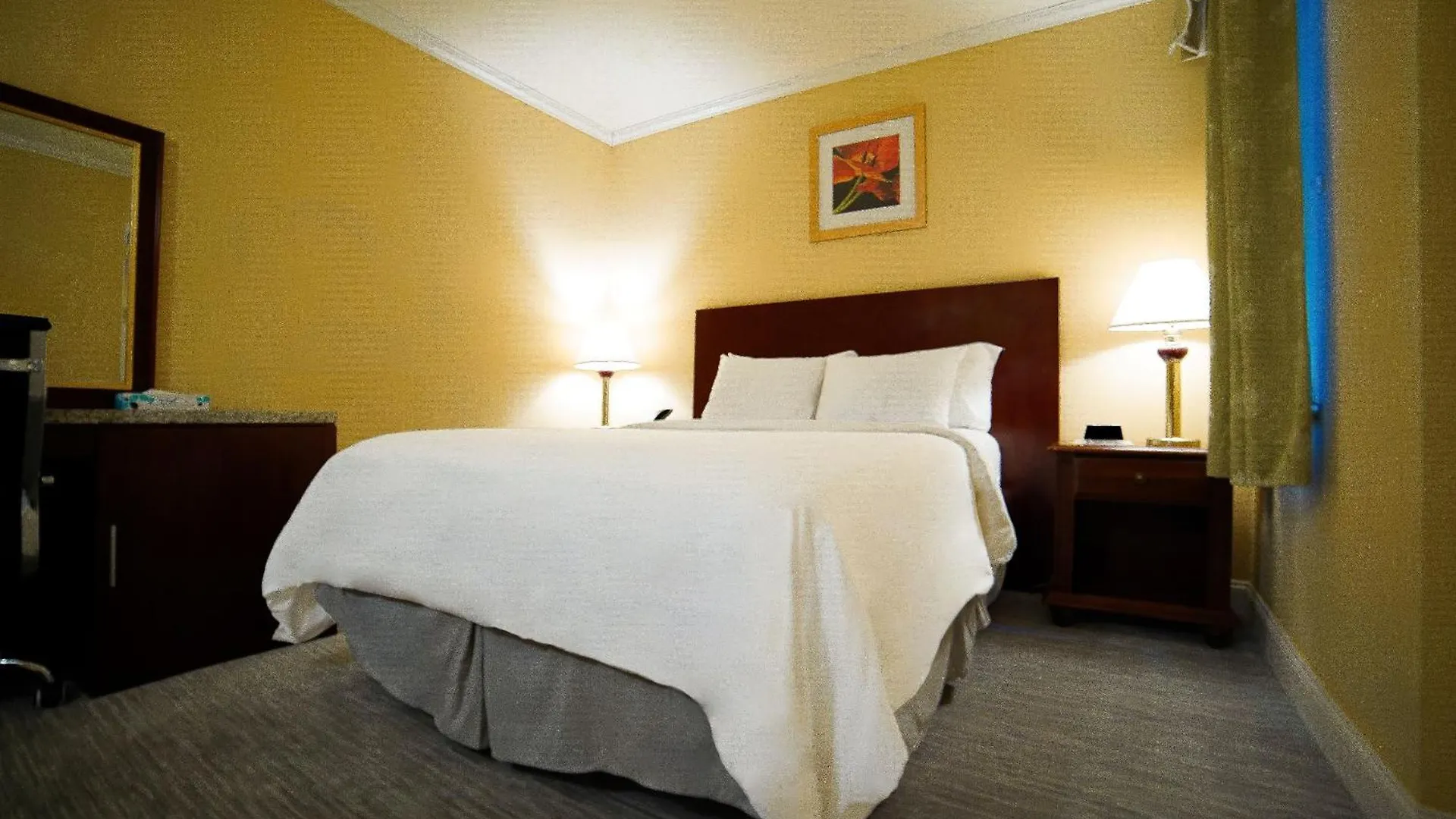 Hotel Stanford New York United States